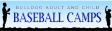 Adult/Child Baseball Camps