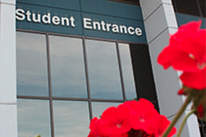 Springtime at the Student Entrance